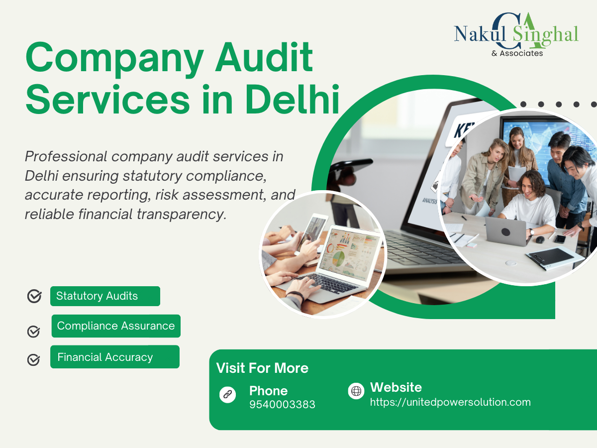 Best company audit services in Delhi